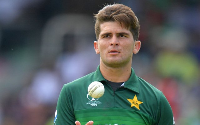 shaheen shah afridi image